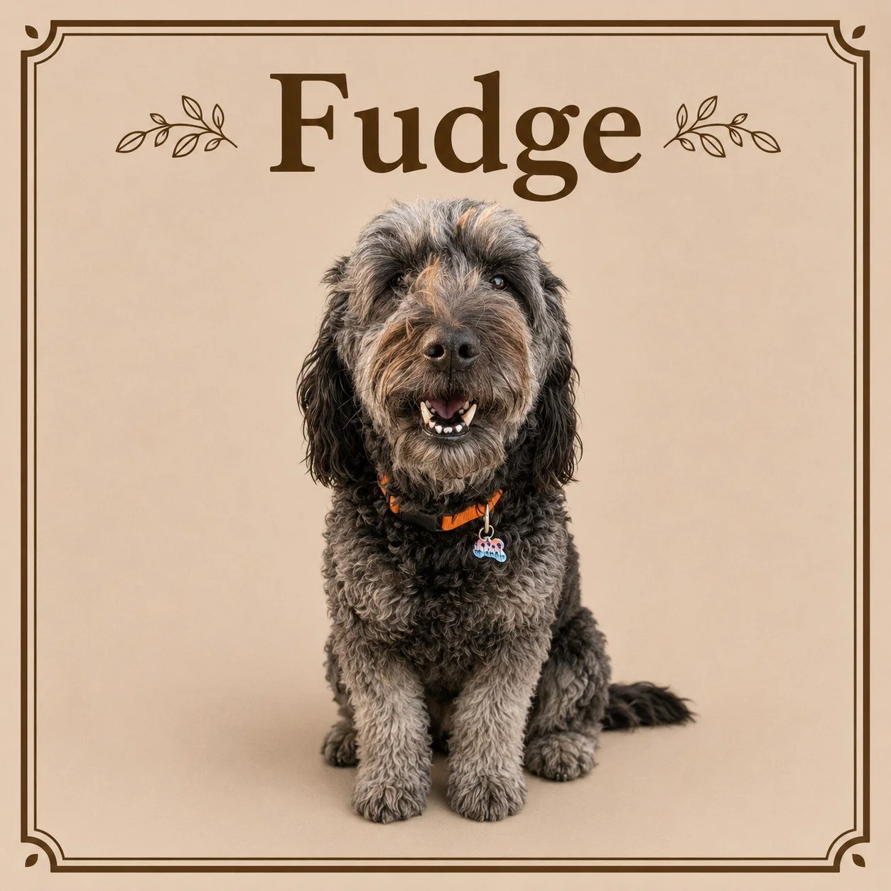 Fudge (2).jpeg