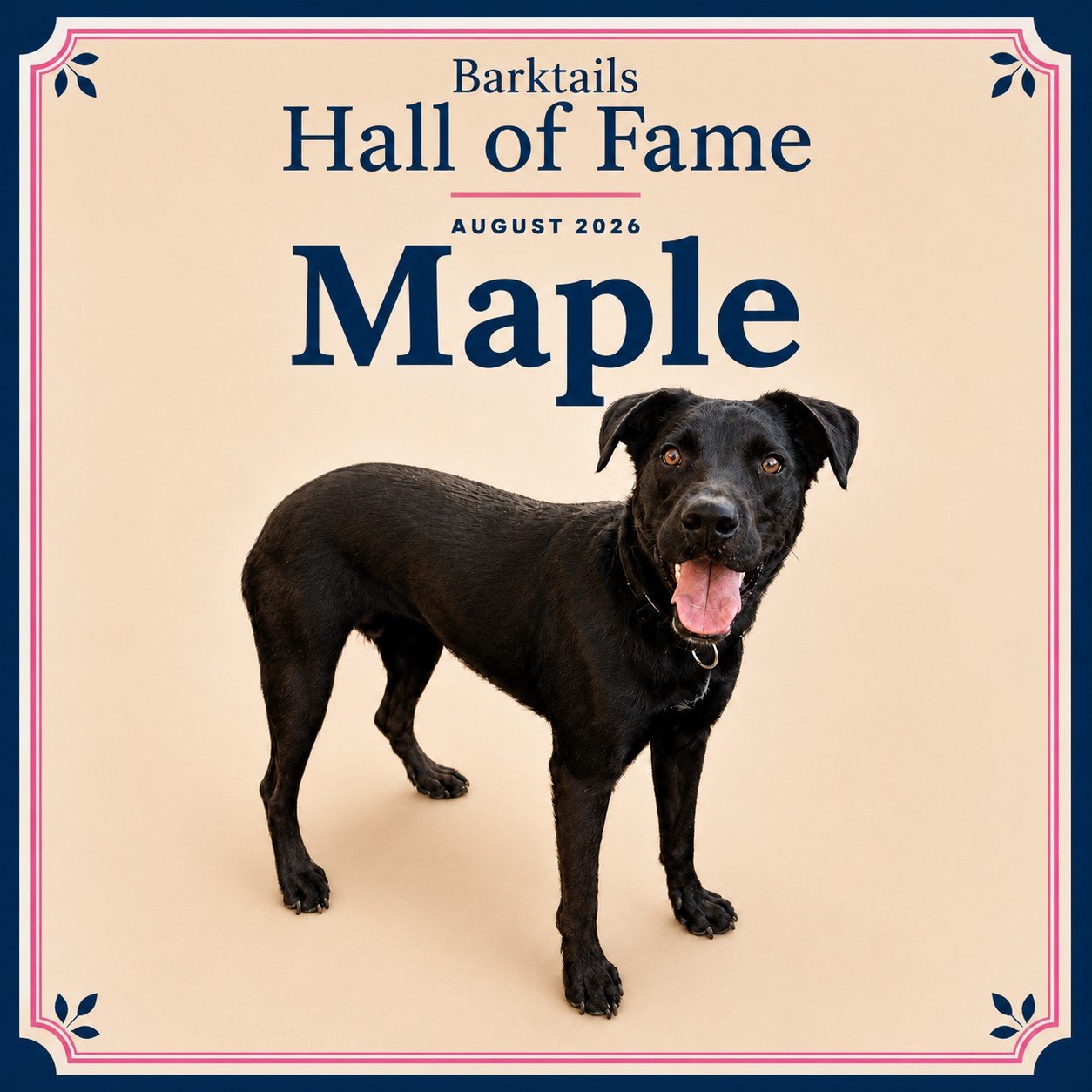 2026-08 Maple.jpeg