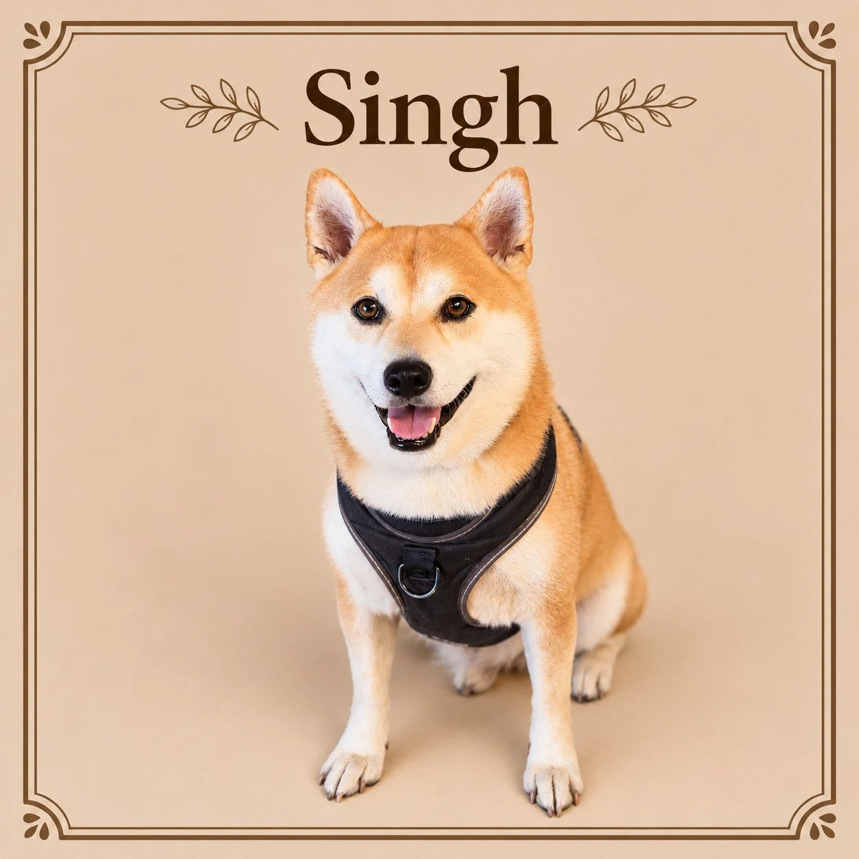 Singh.jpg