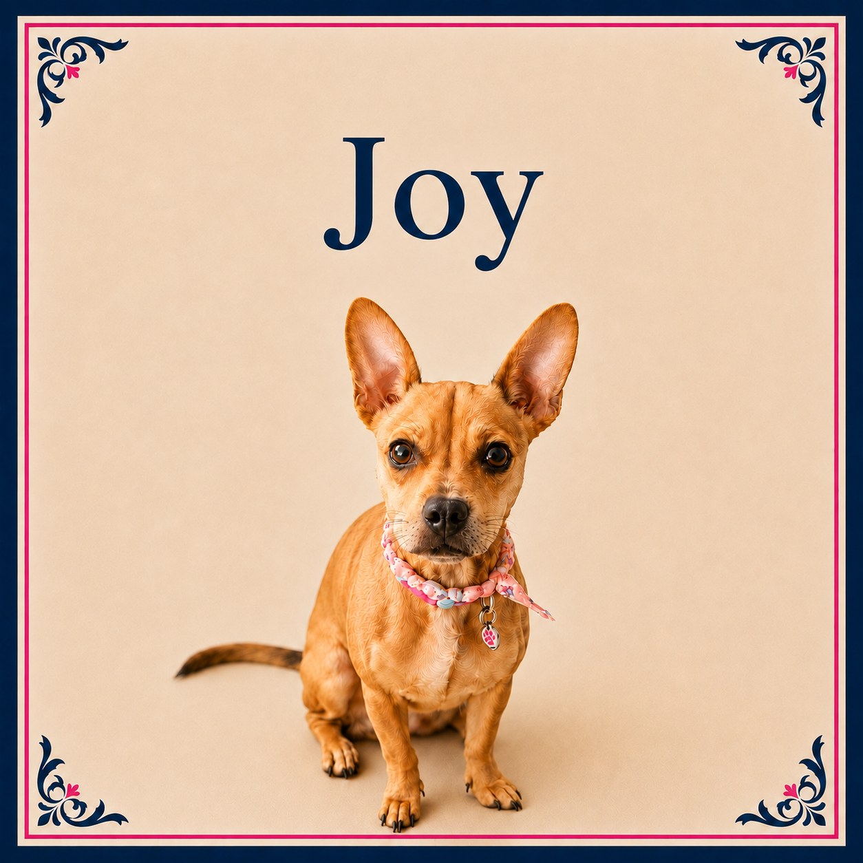 Joy