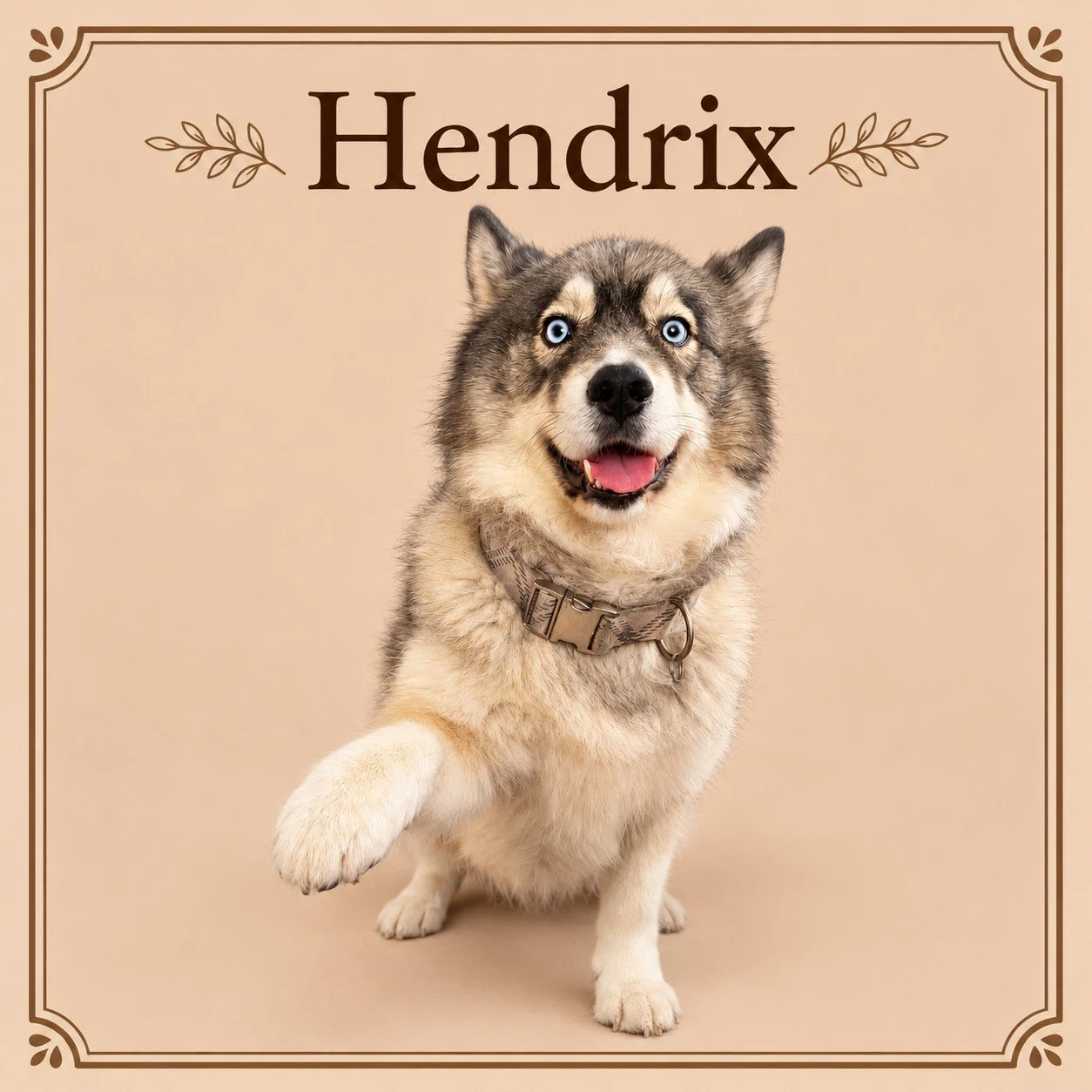 Hendrix.jpg
