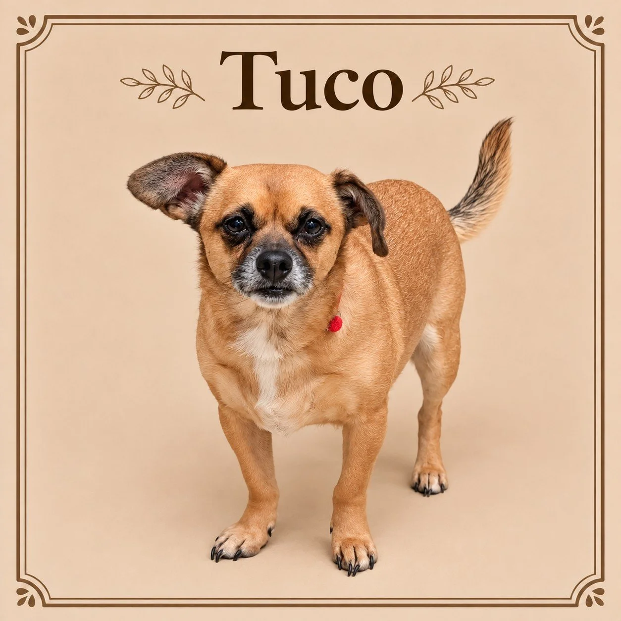 Tuco.jpg