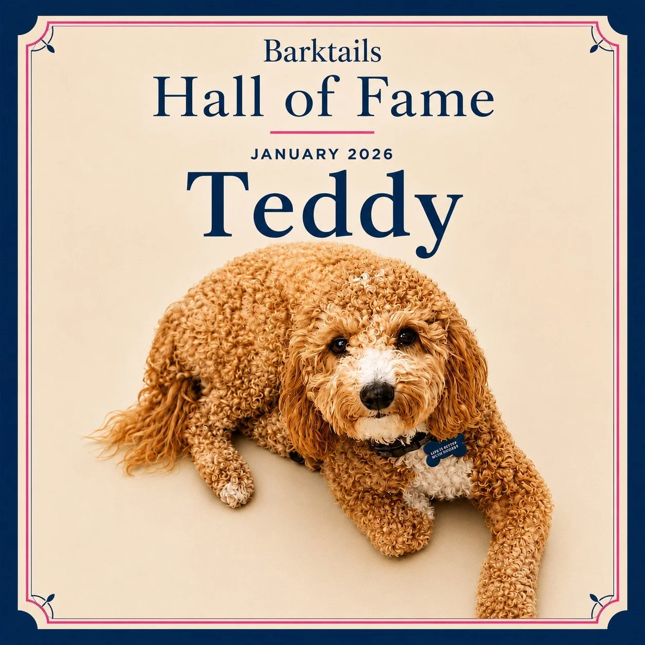 2026-01 Teddy.jpeg