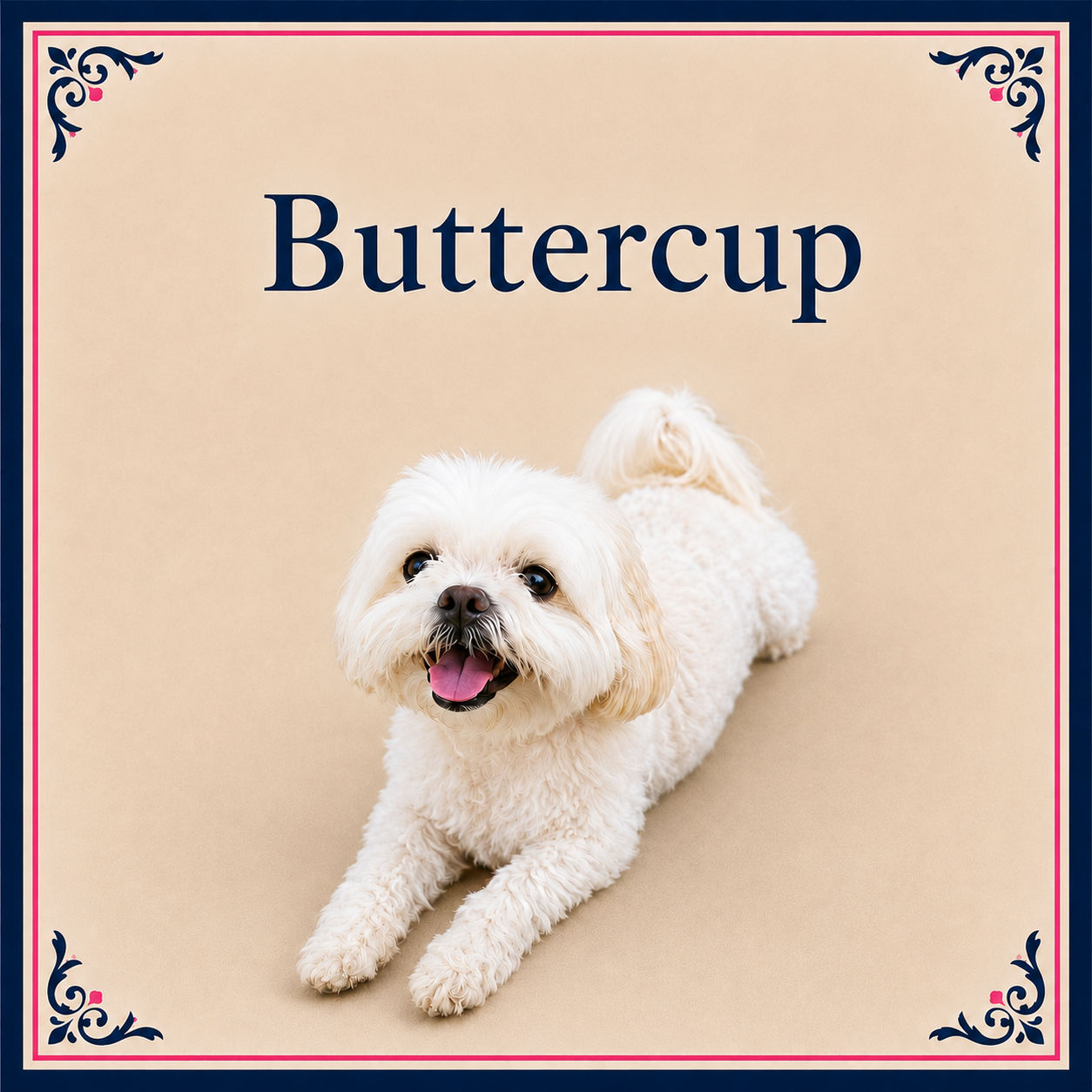 Buttercup