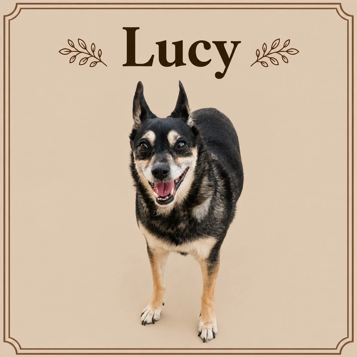 Lucy (2).jpeg