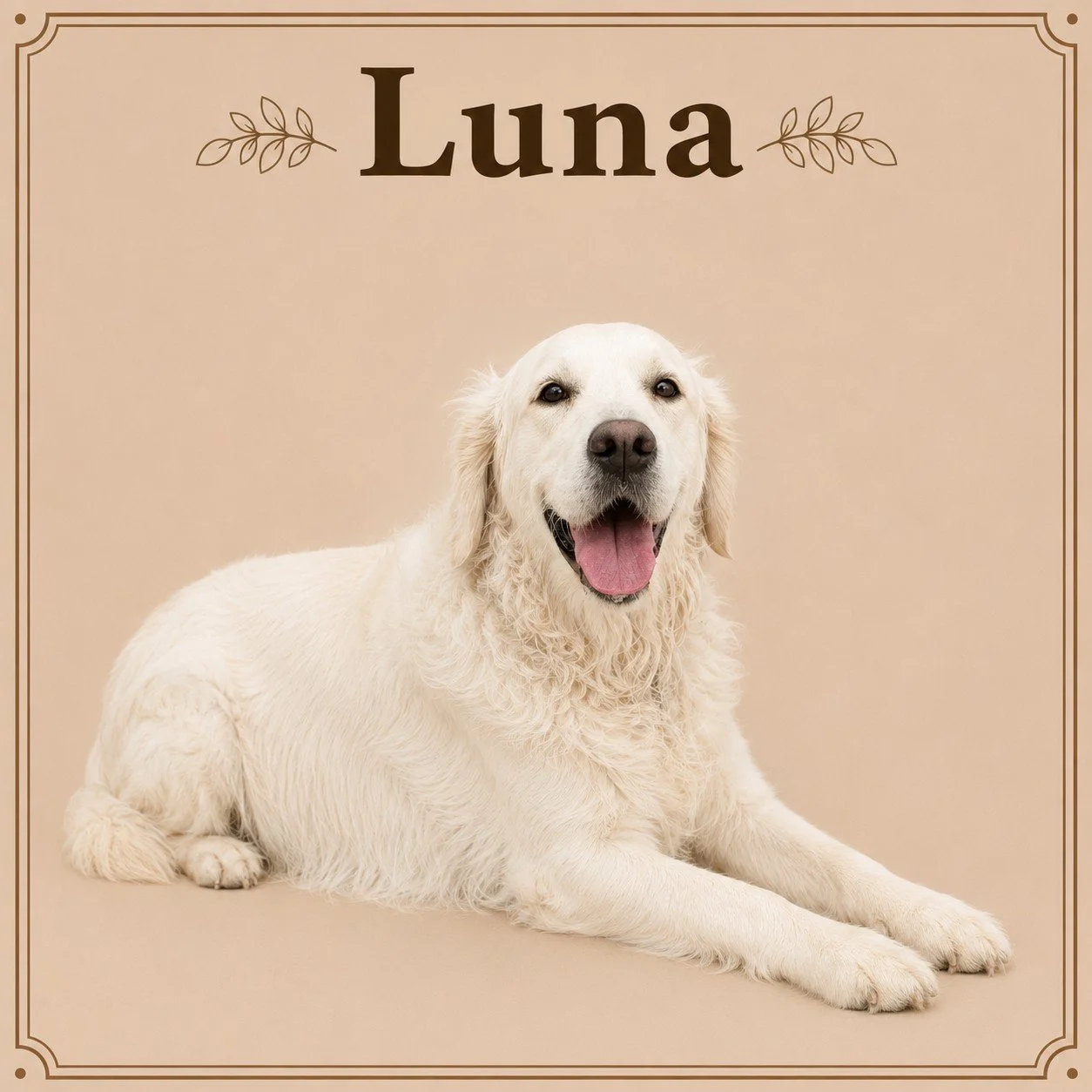 Luna (2).jpeg
