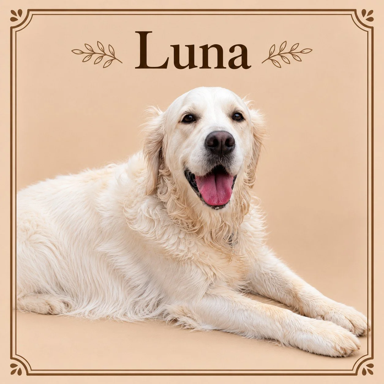 Luna.jpg