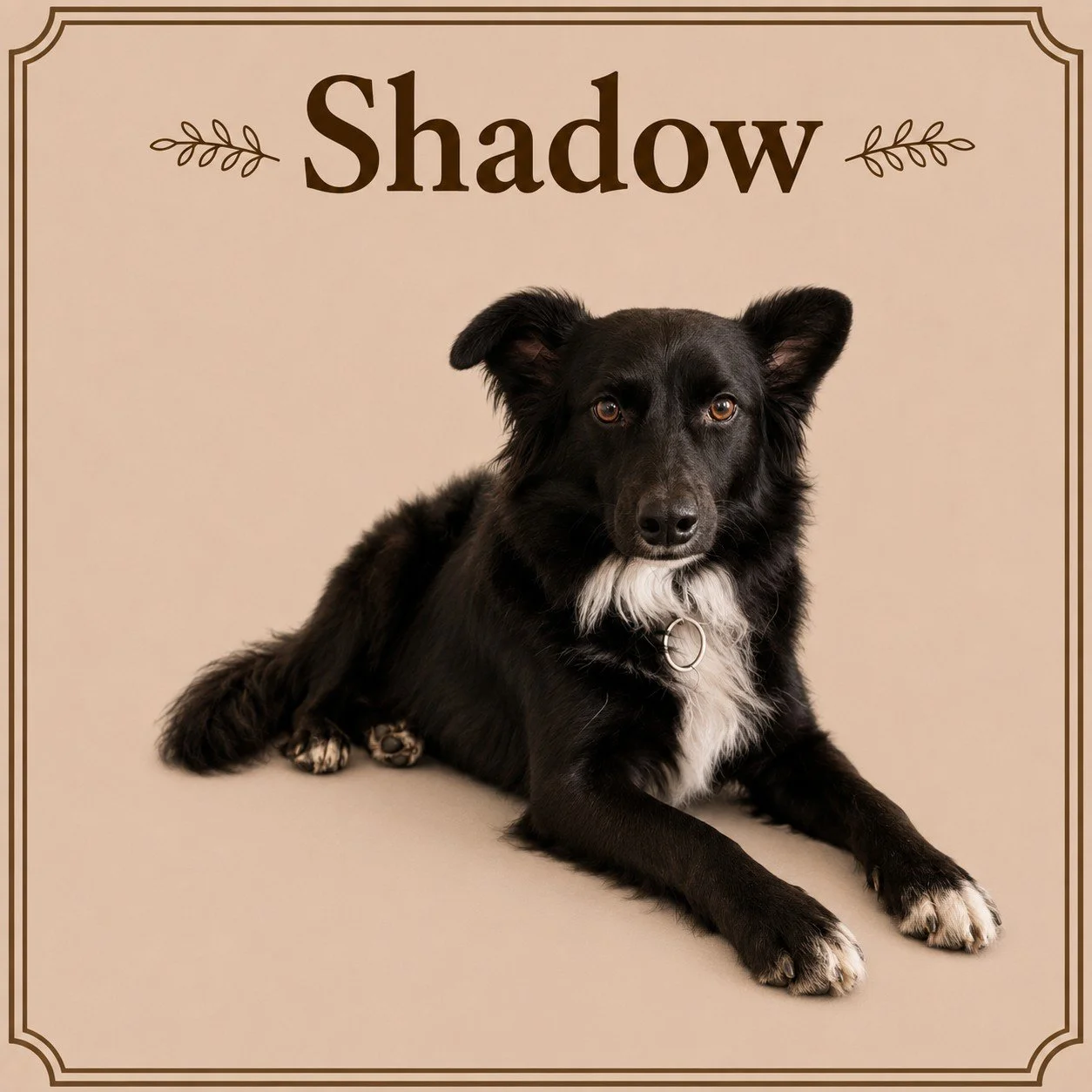 Shadow (2).jpeg