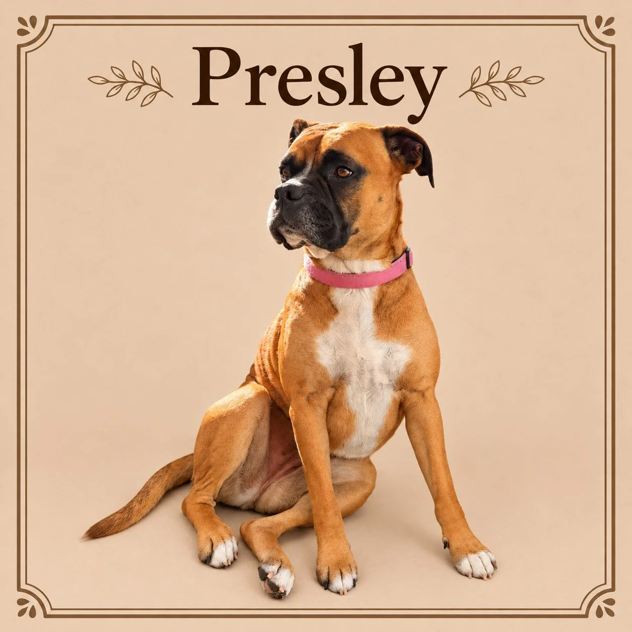 Presley.jpg