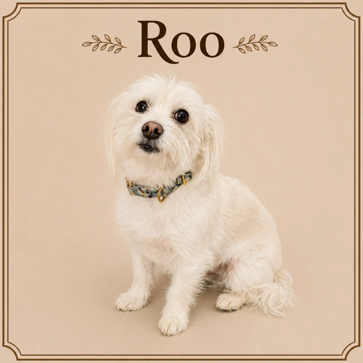 Roo.jpeg