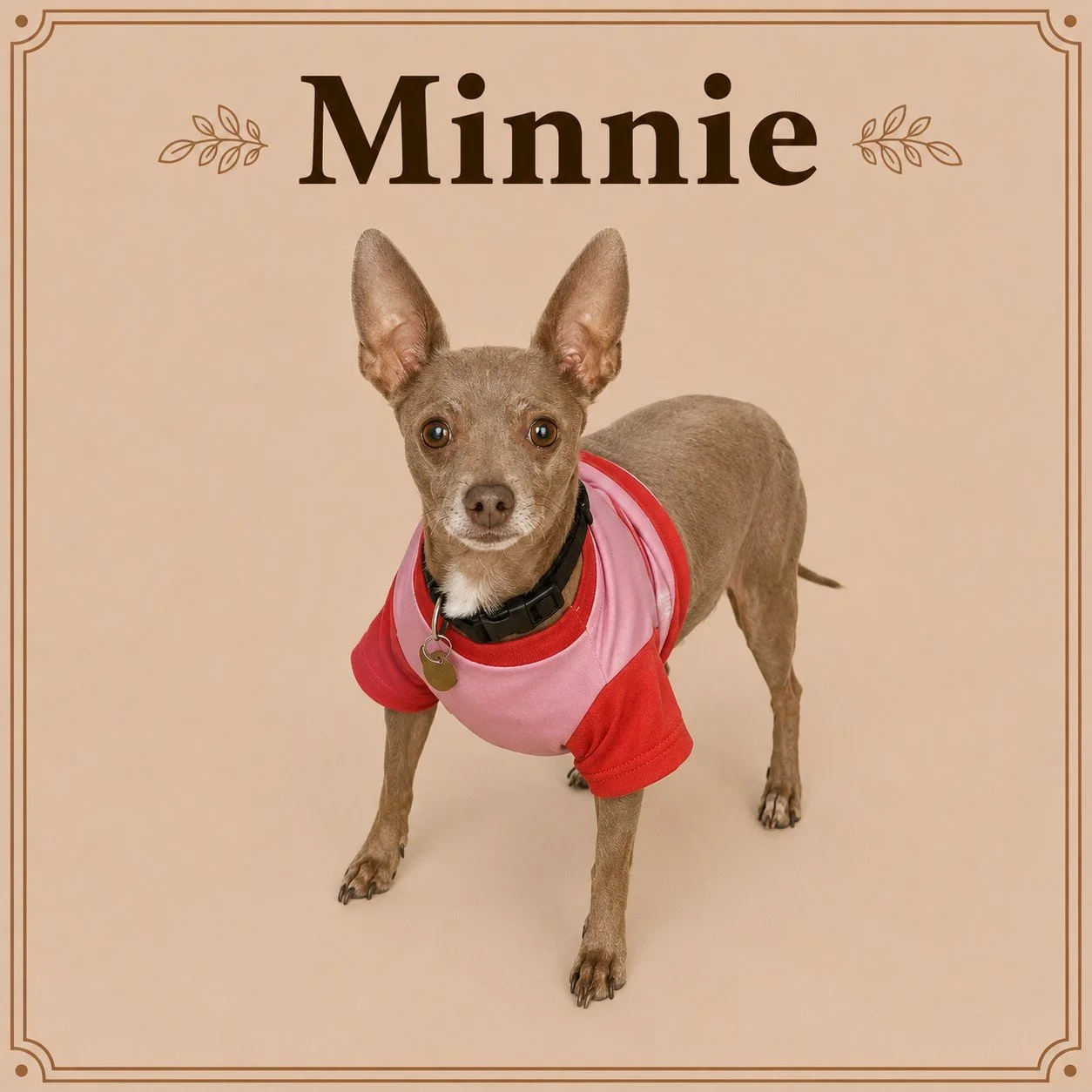 Minnie (2).jpeg