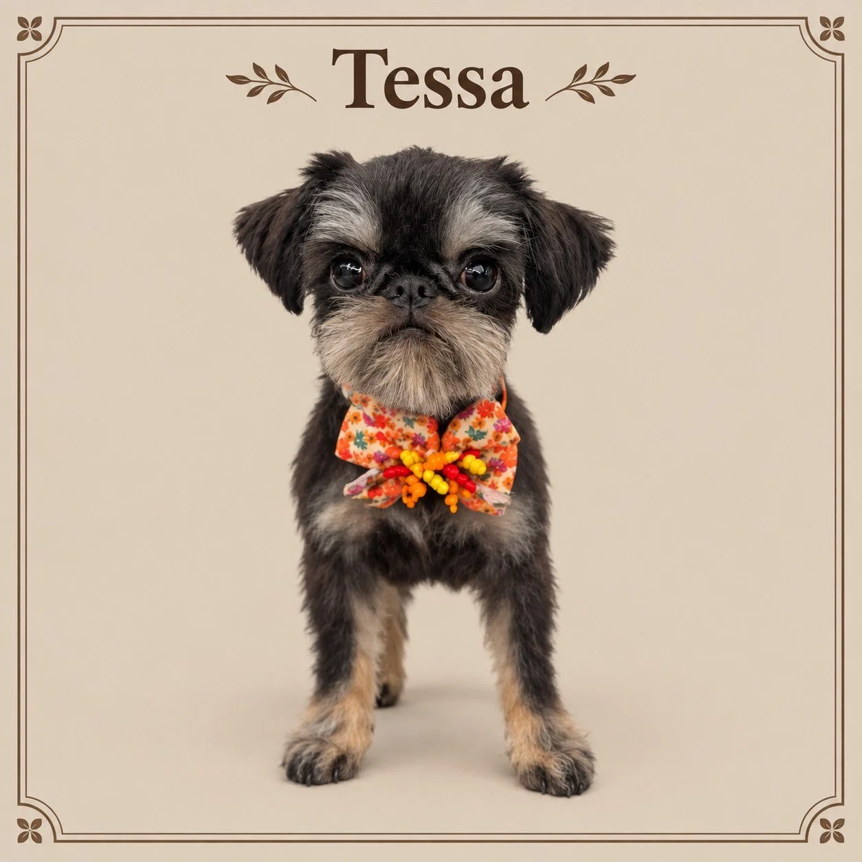 Tessa 3.jpg