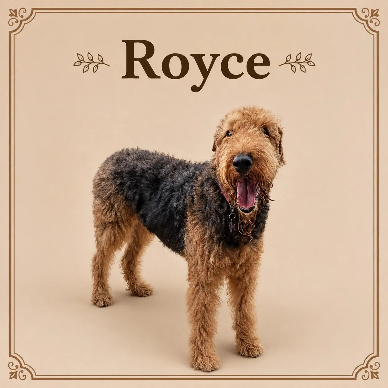 Royce.jpeg