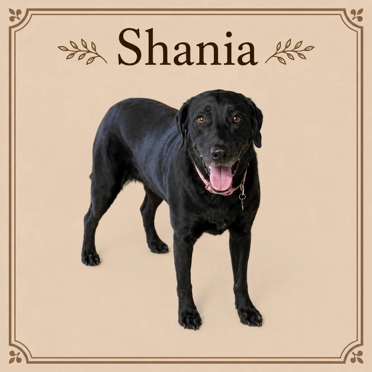 Shania.jpeg