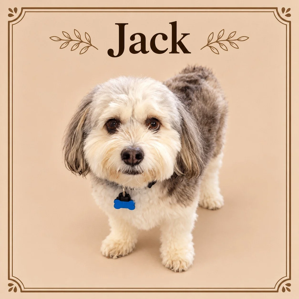 Jack.jpg