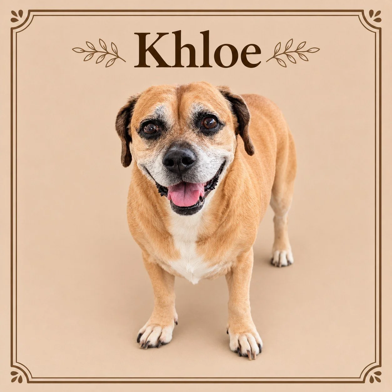 Khloe.jpg