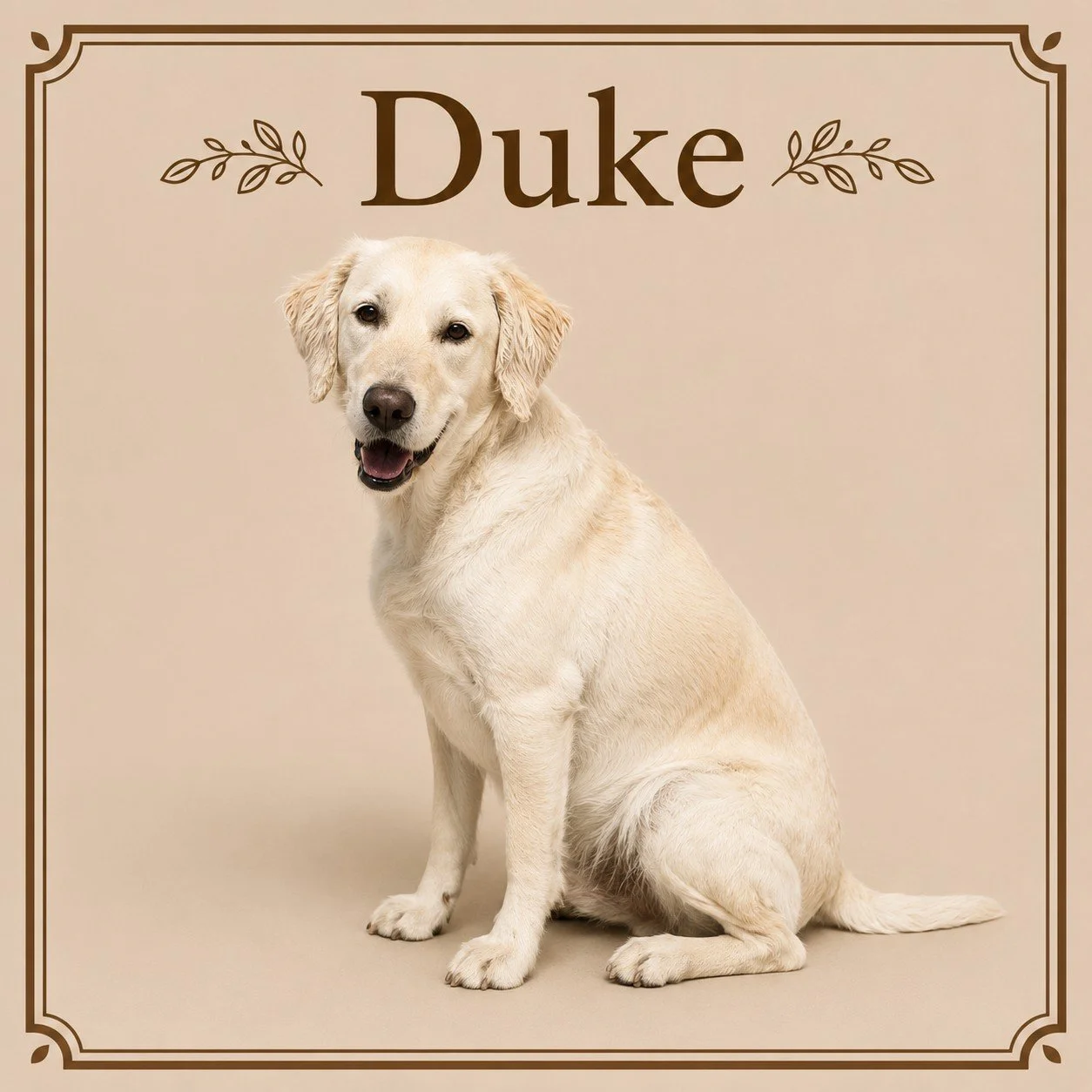 Duke.jpeg