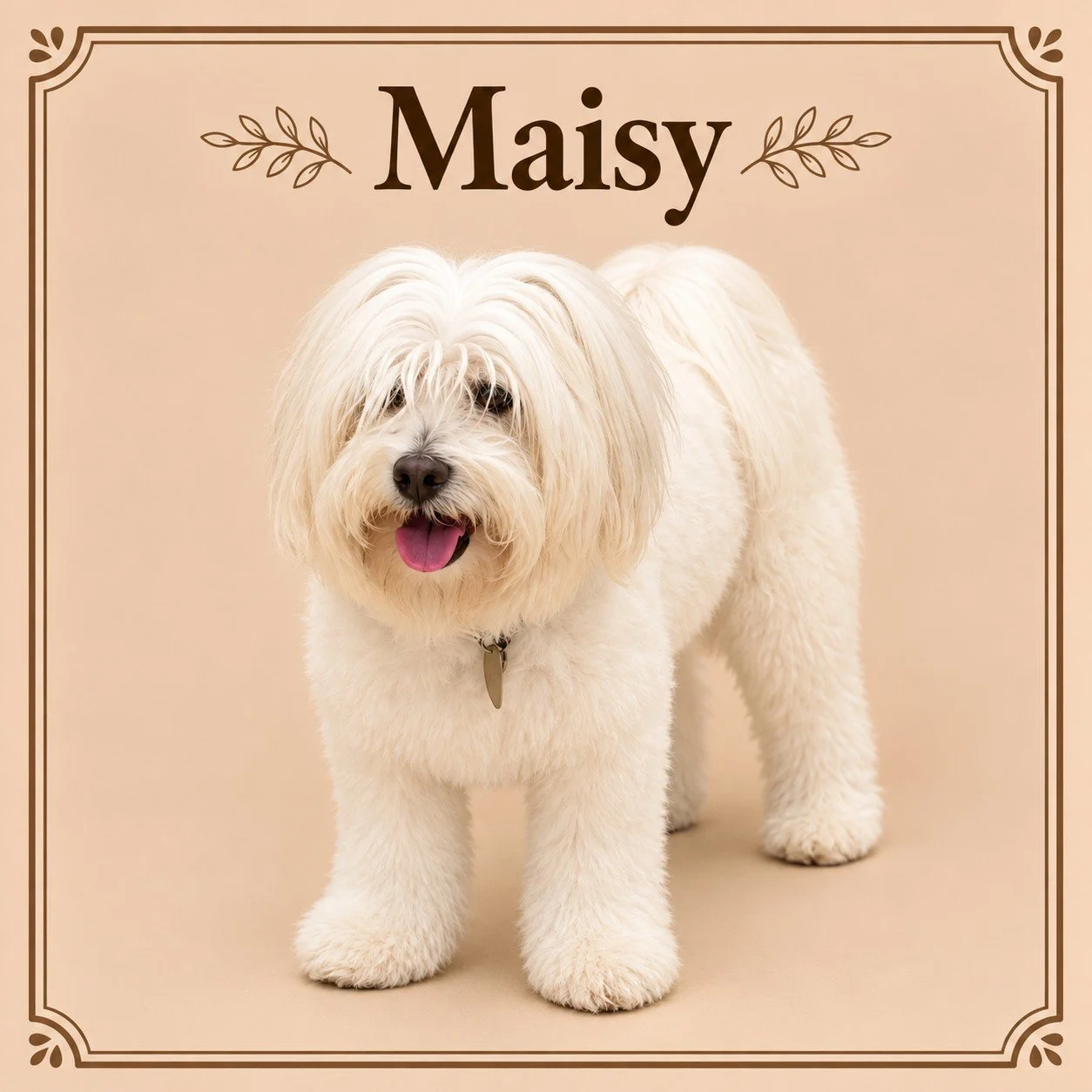 Maisy.jpg