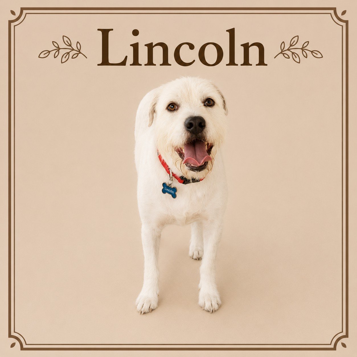 Lincoln.jpeg