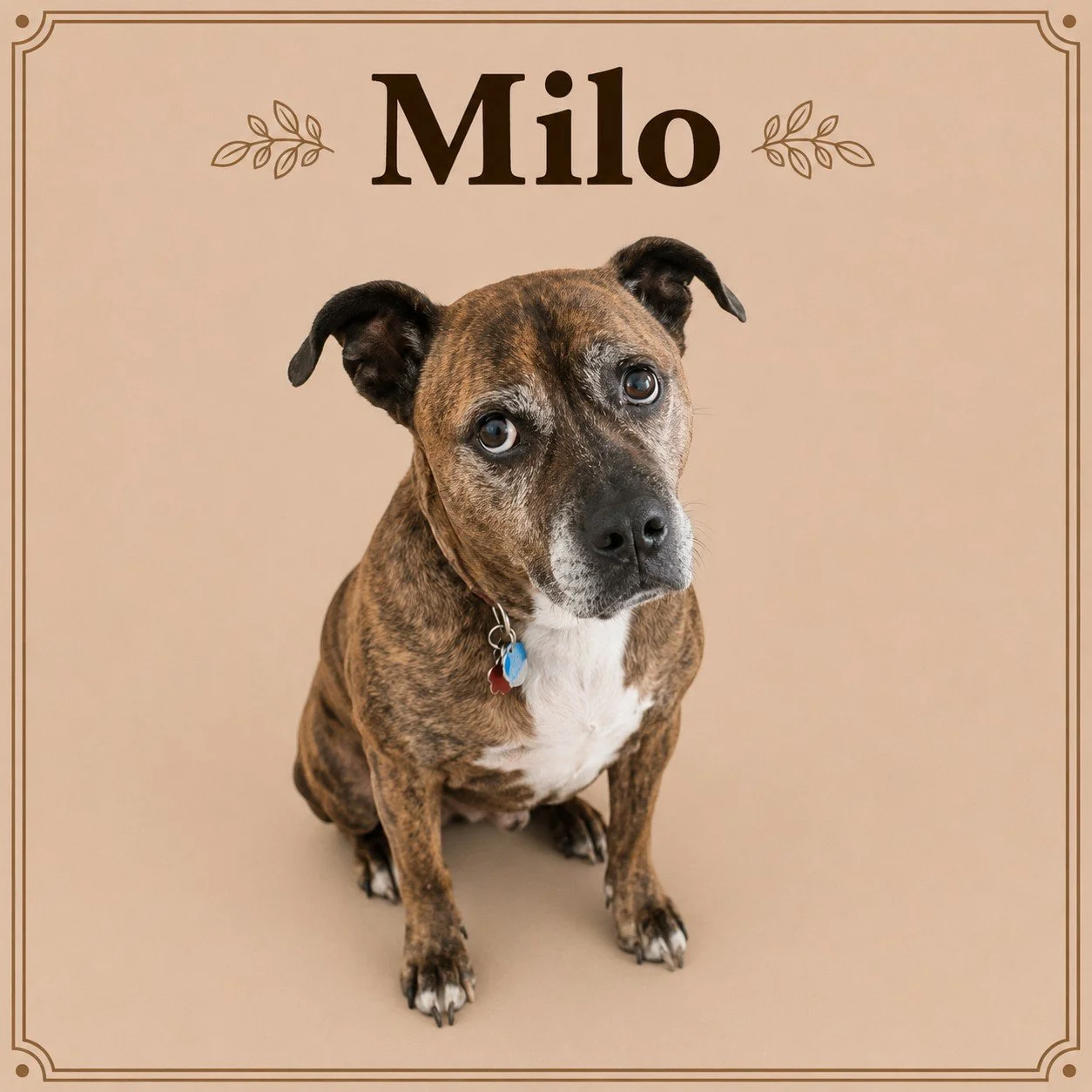 MIlo.jpeg