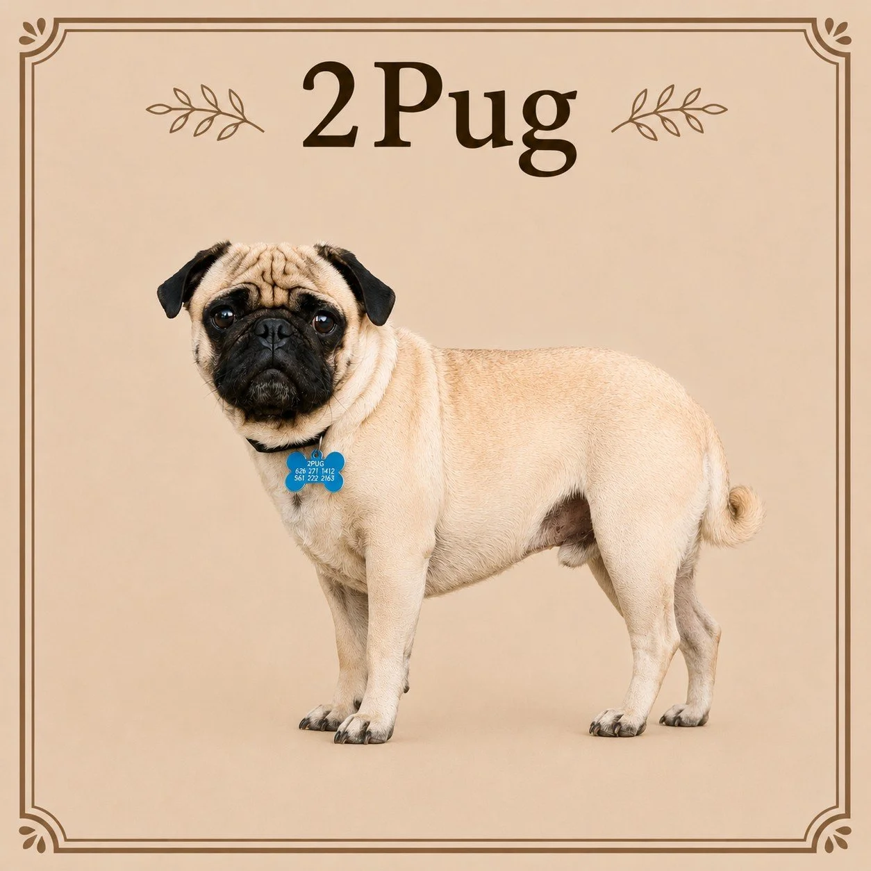 2Pug.jpeg