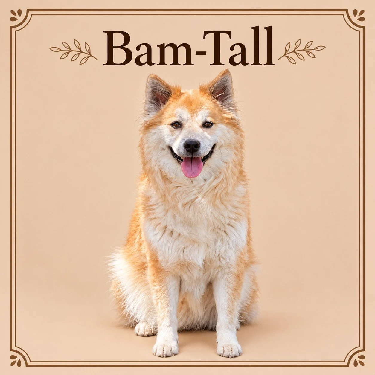 Bam-Tall.jpg