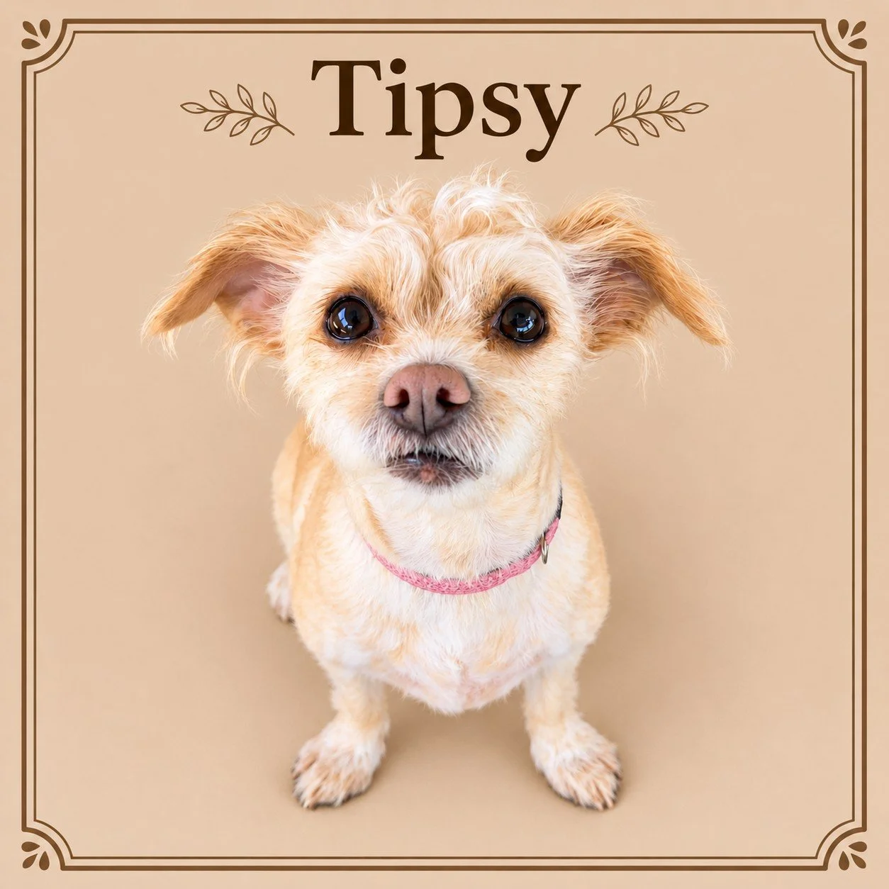 Tipsy.jpg