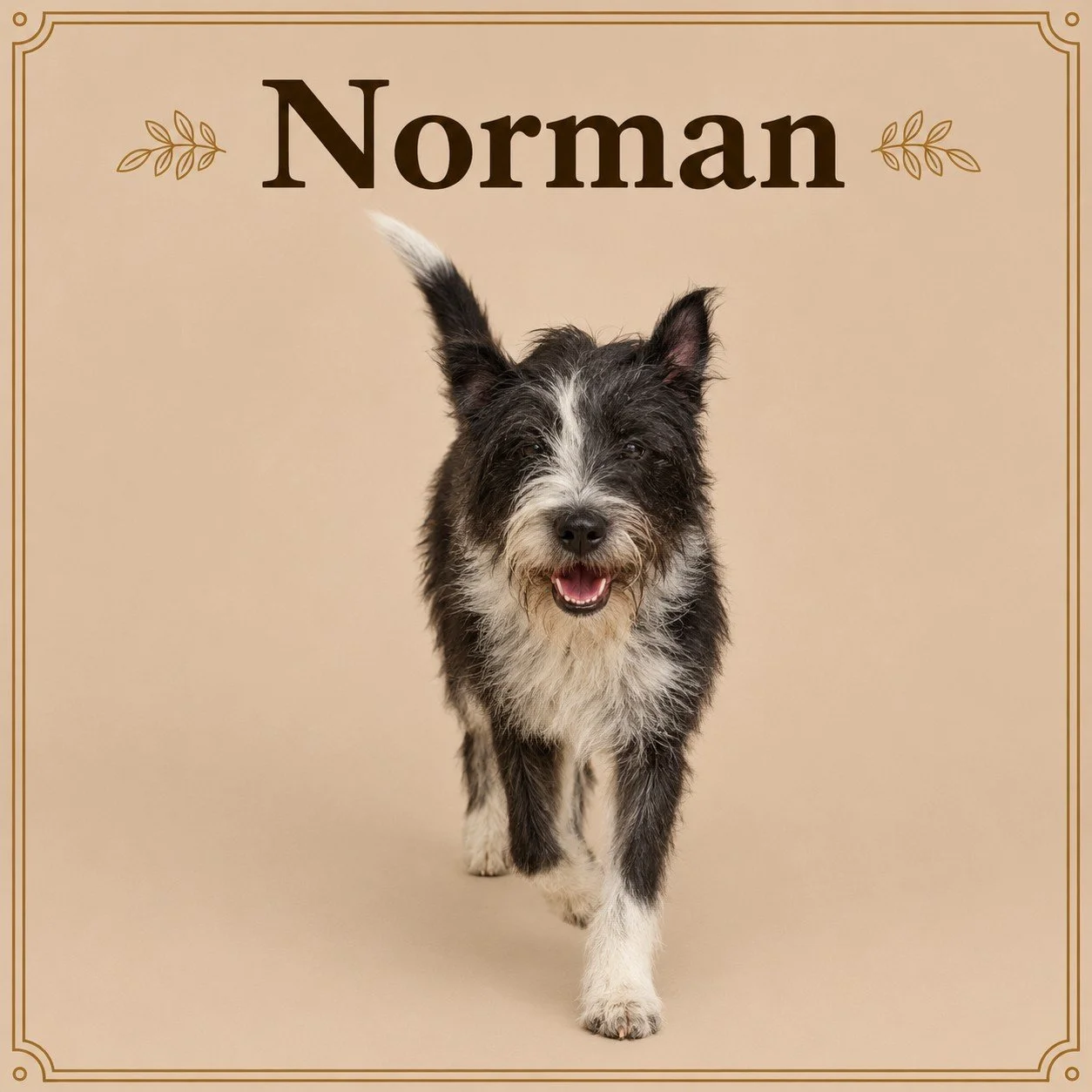 Norman.jpeg
