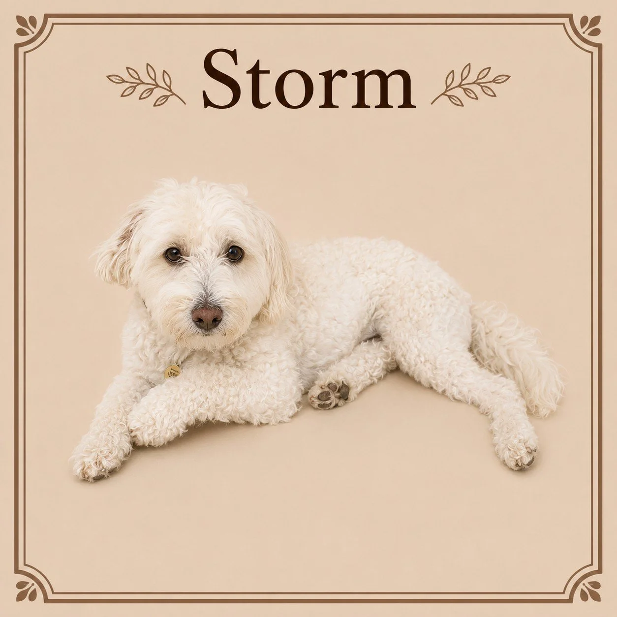 Storm.jpeg
