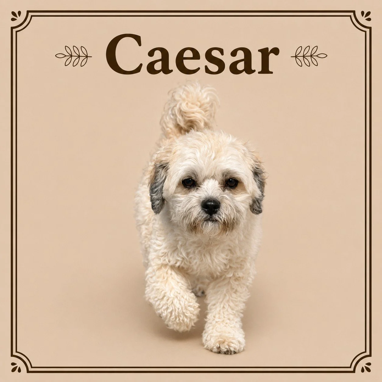 Caesar.jpeg