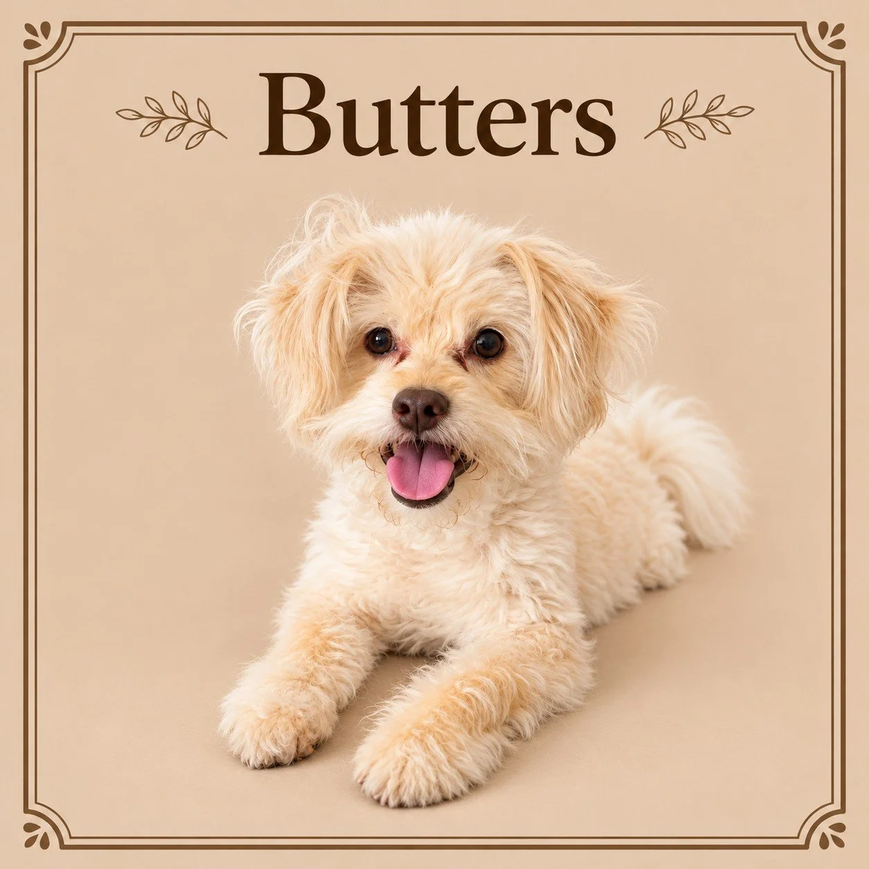Butters.jpg