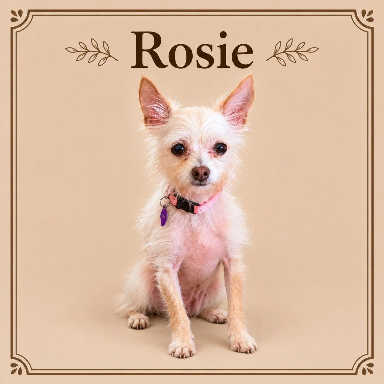 Rosie.jpg