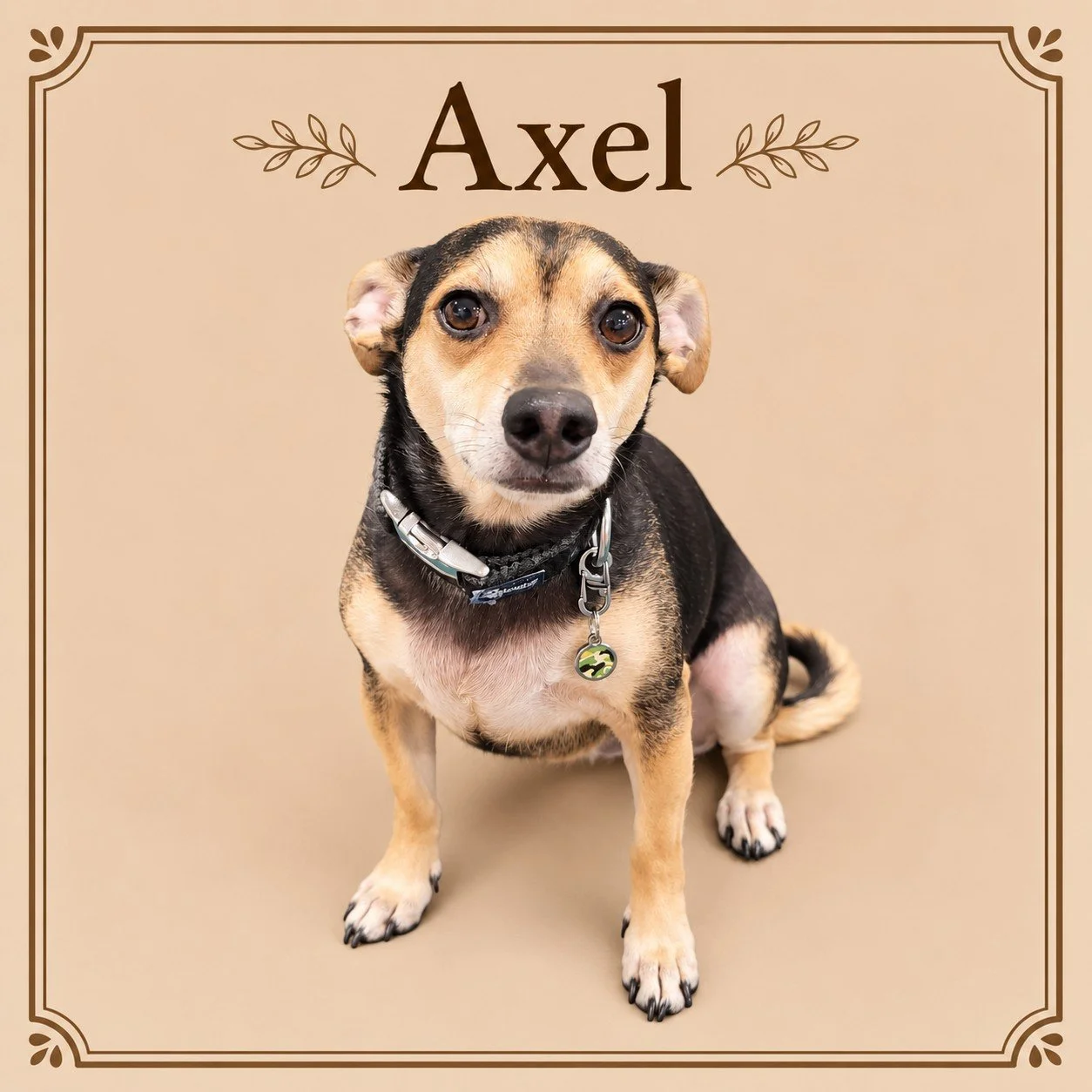 Axel.jpg