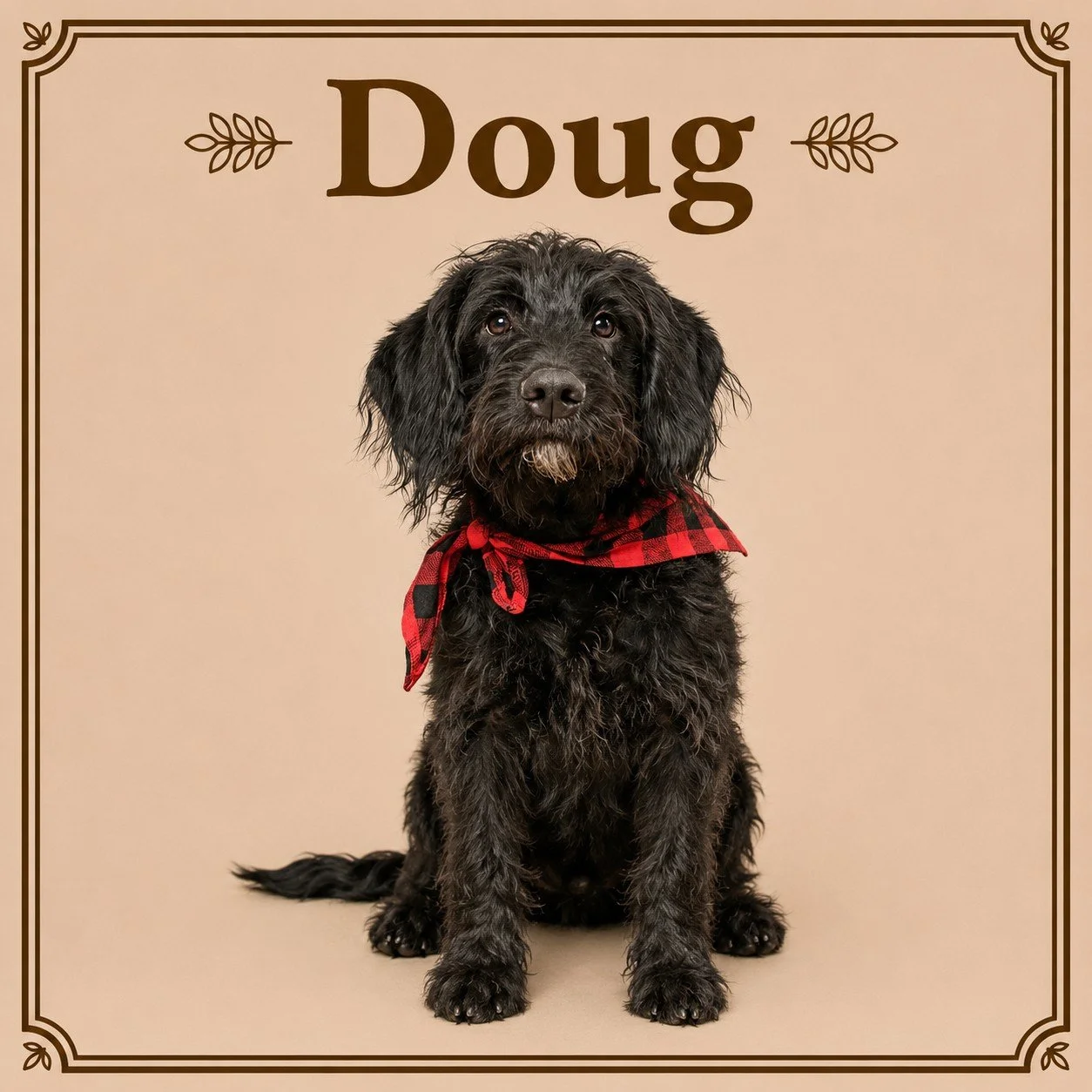 Doug.jpeg