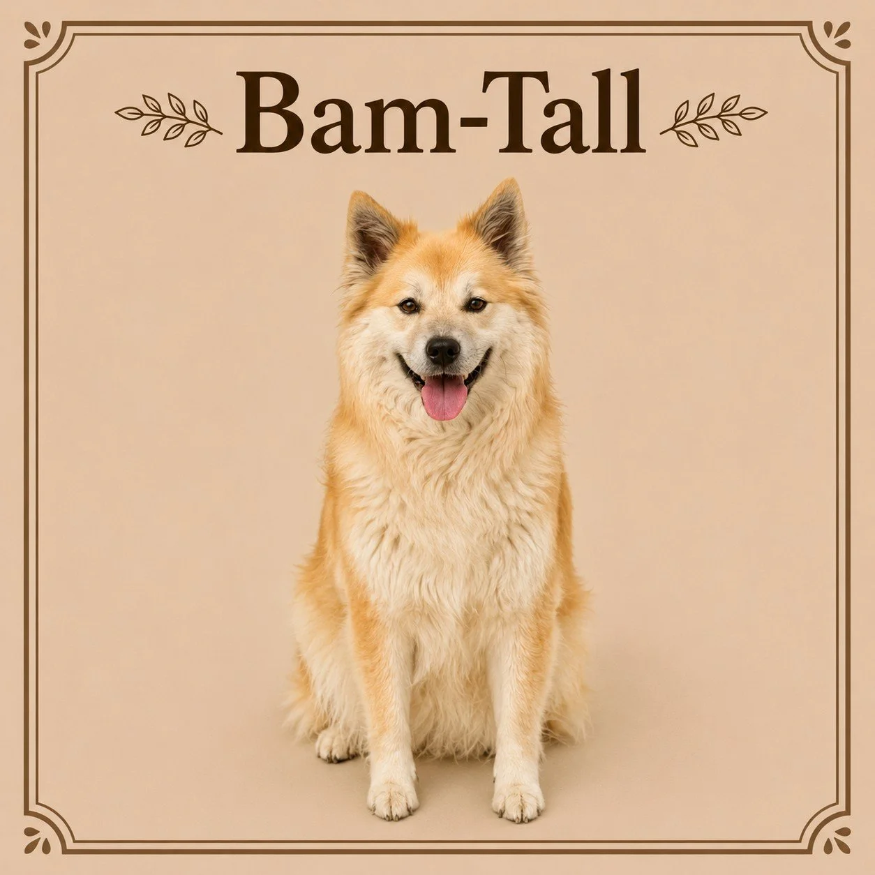 Bam-Tall.jpeg