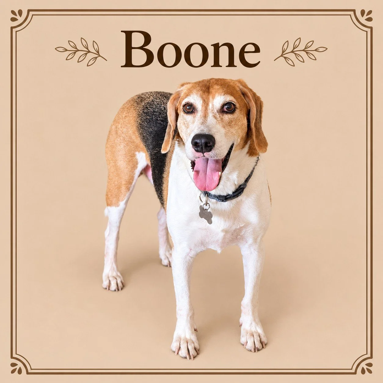 Boone.jpg