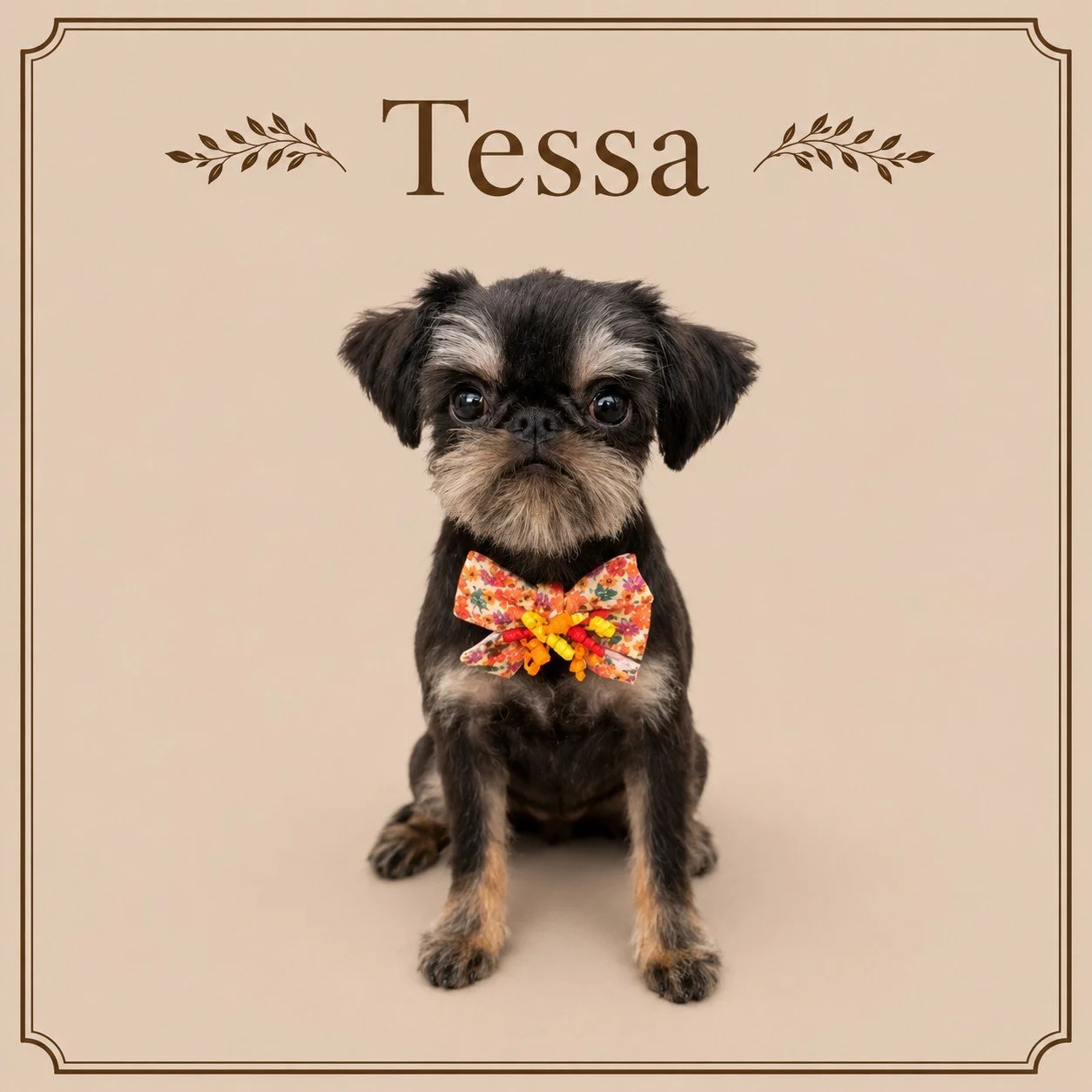Tessa (2).jpeg