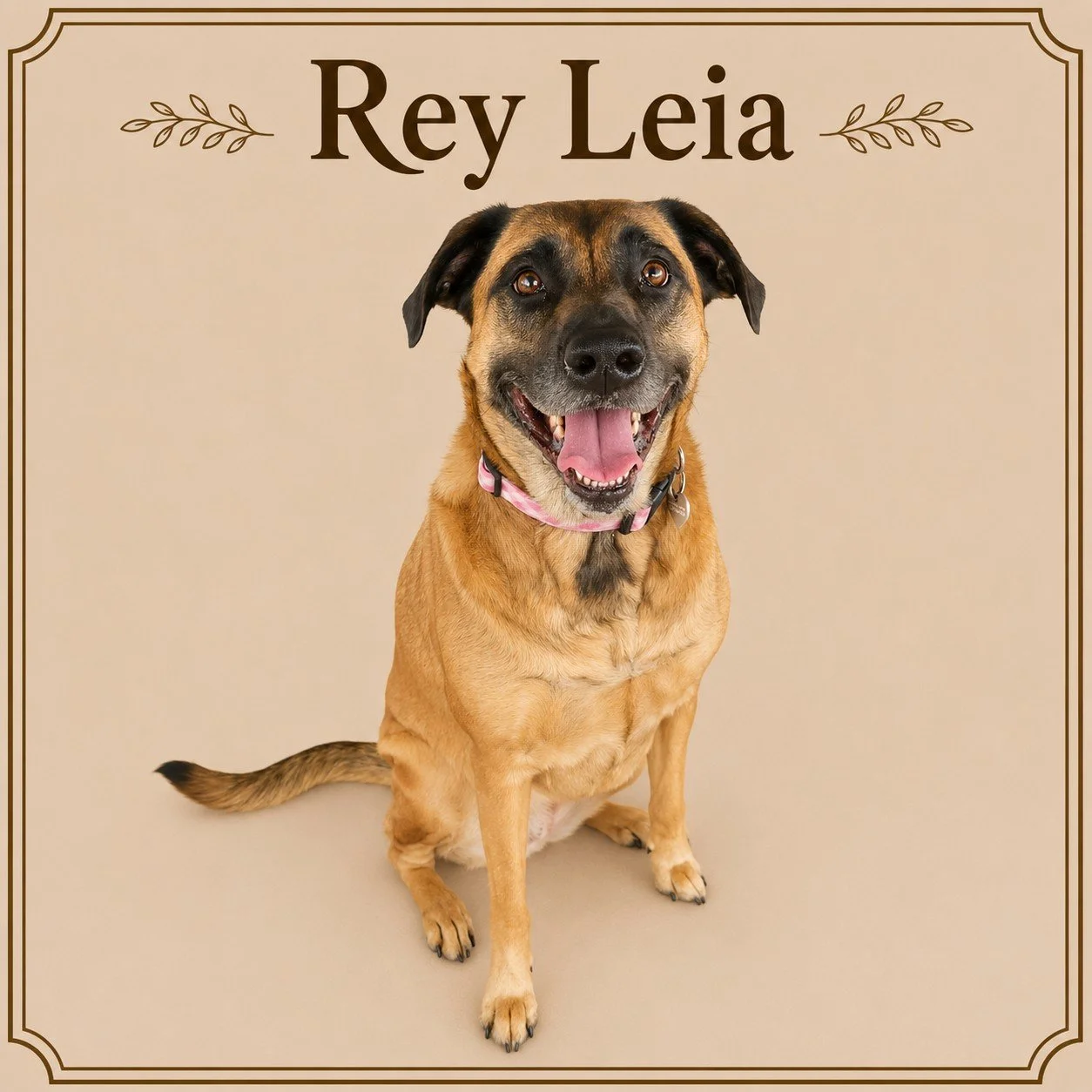 Rey Leia.jpeg
