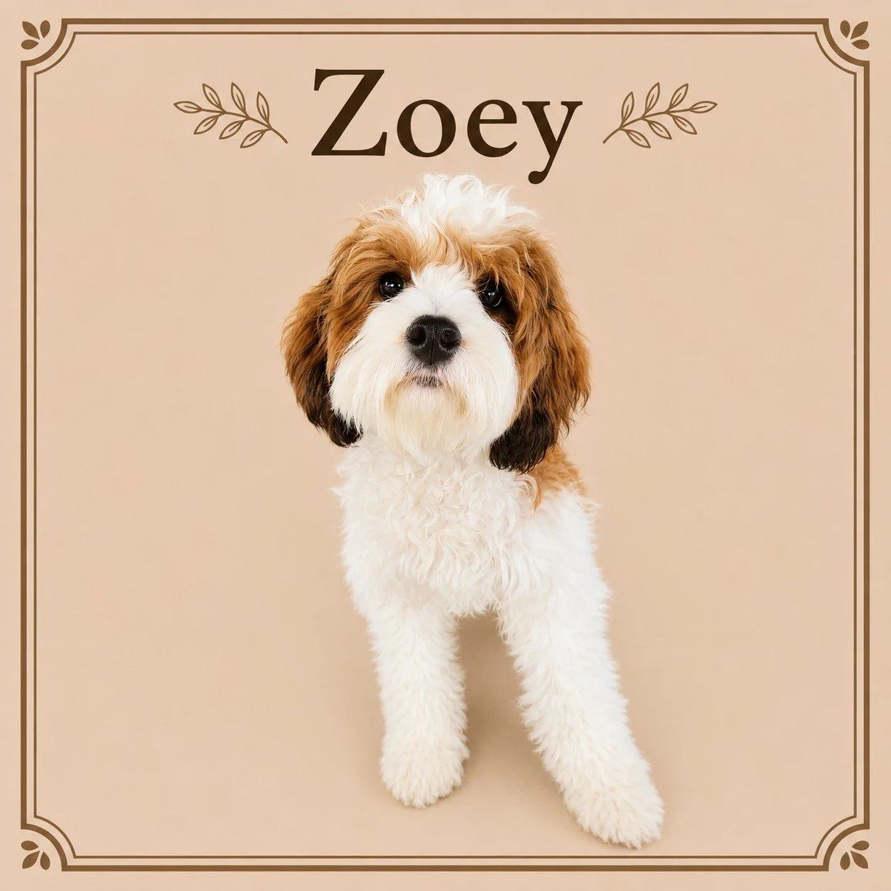 Zoey.jpeg