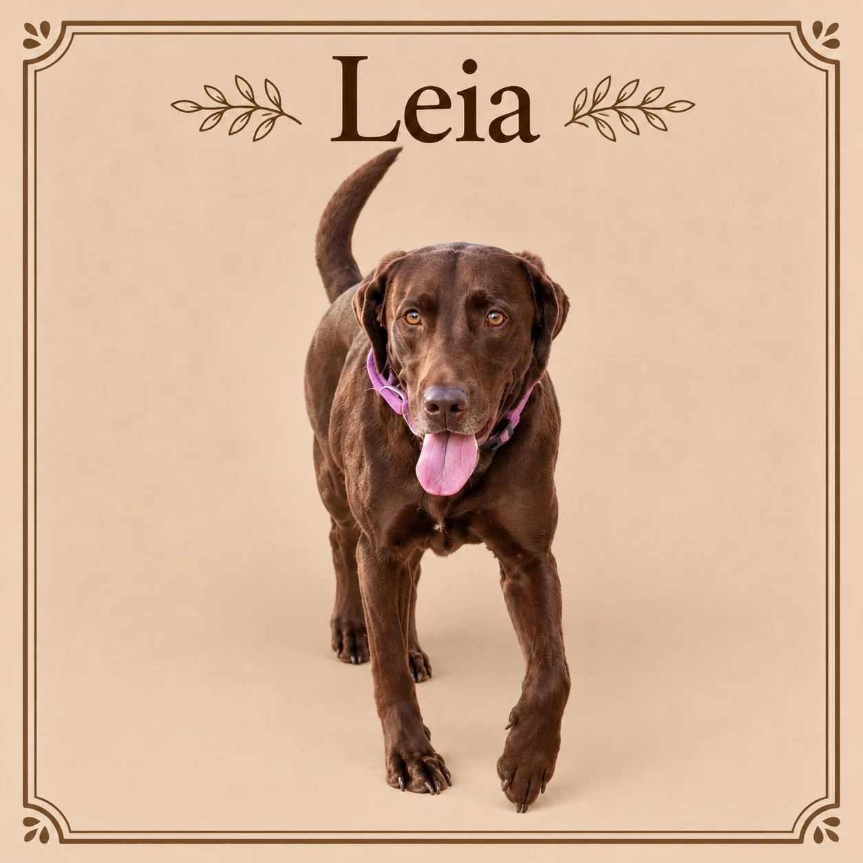 Leia 2.jpg