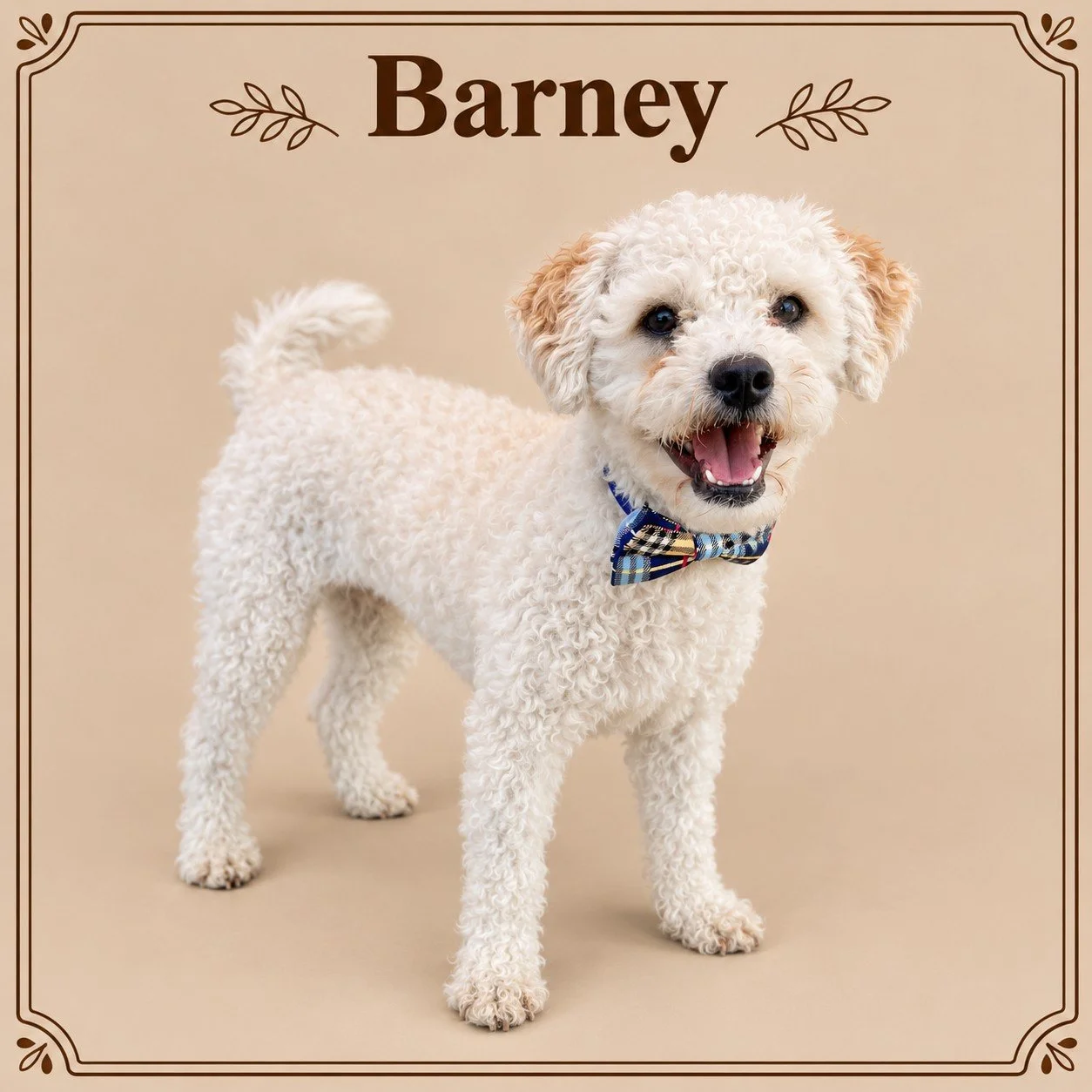 Barney.jpg