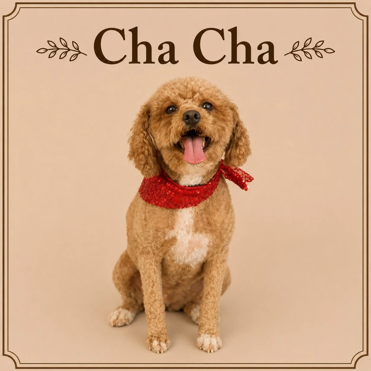 Cha Cha (2).jpeg