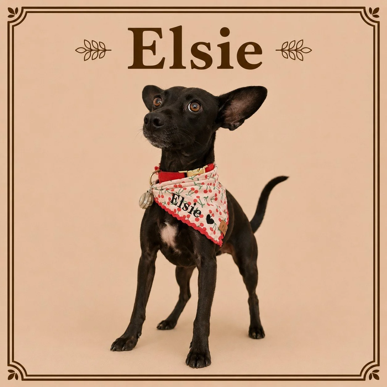Elsie.jpeg