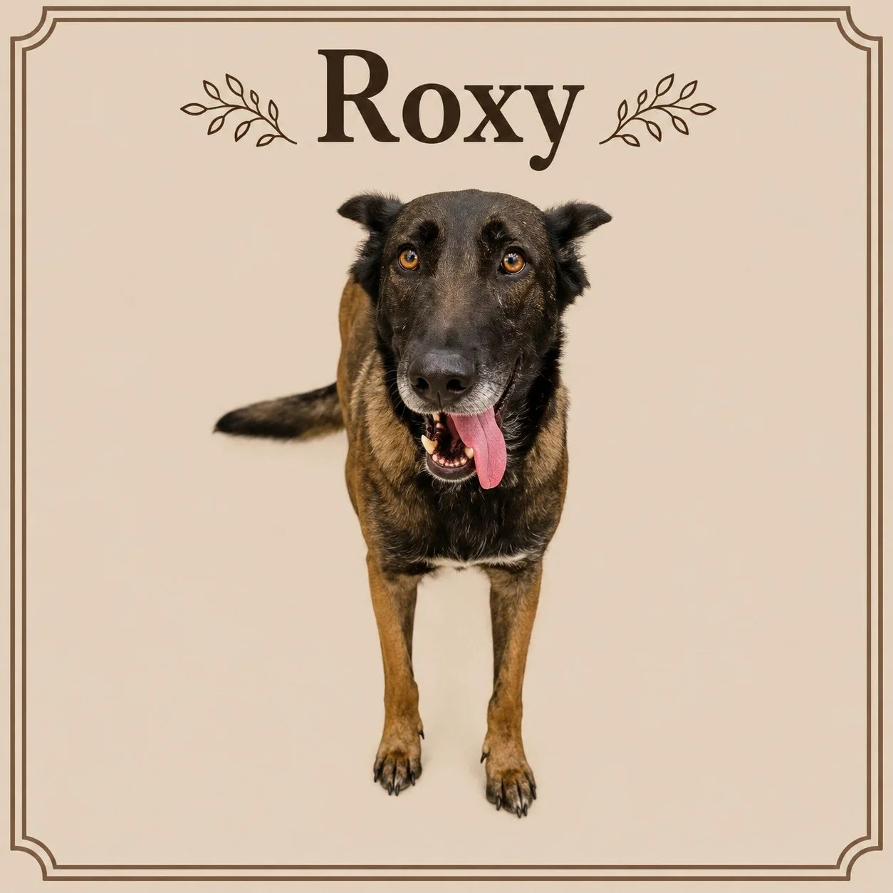 Roxy.jpeg