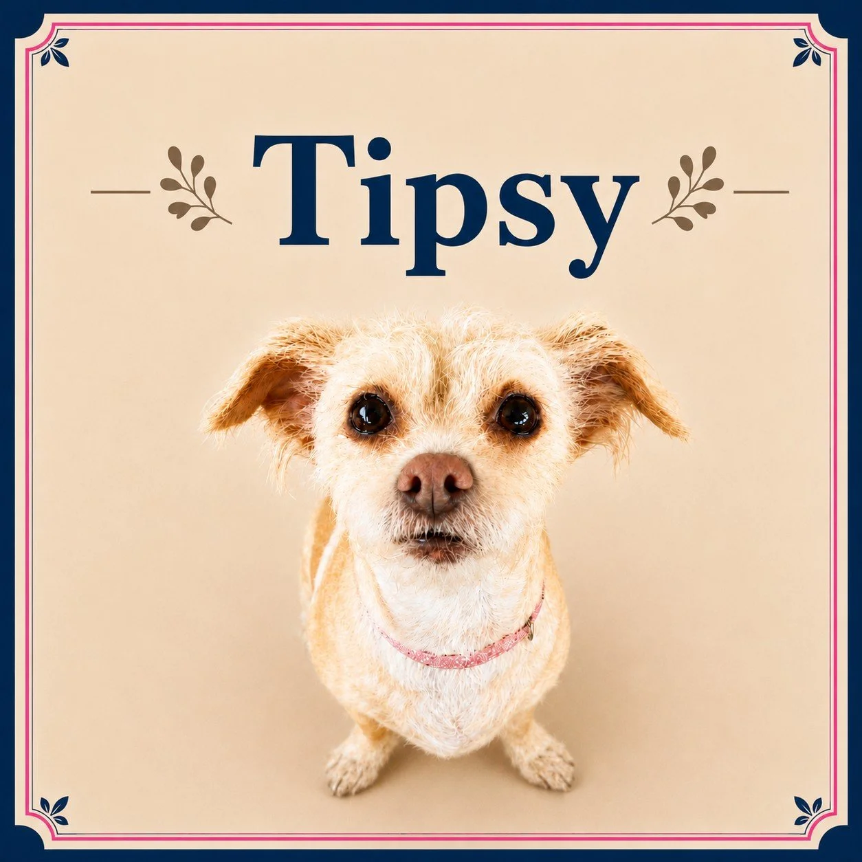 Tipsy
