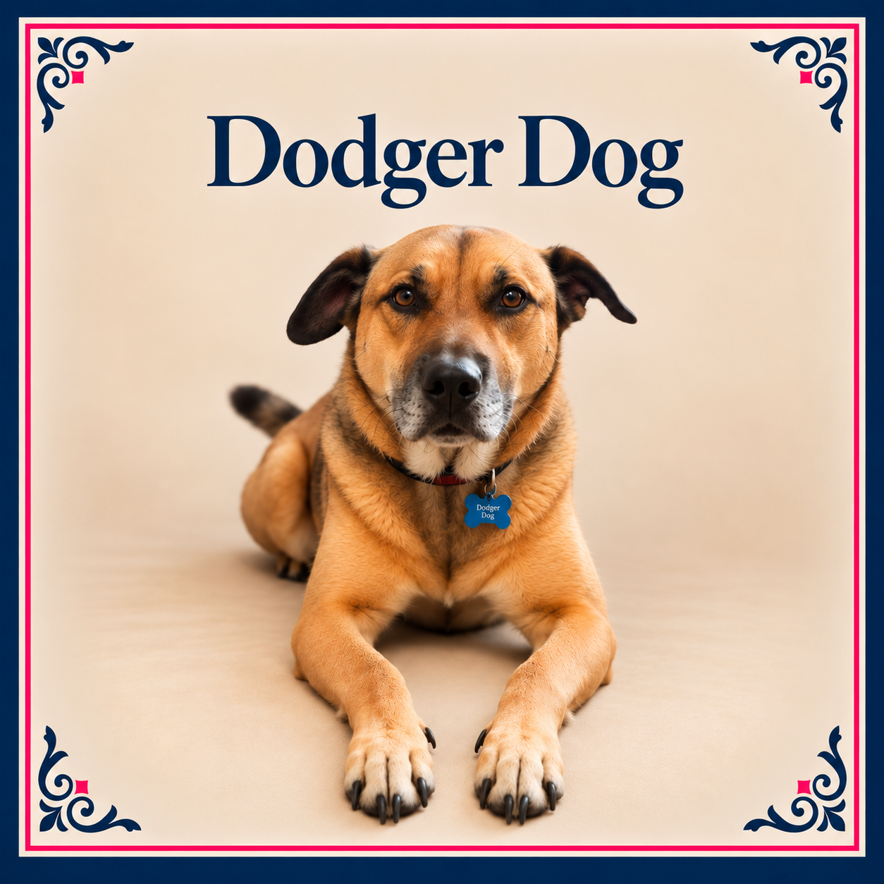 Dodger Dog