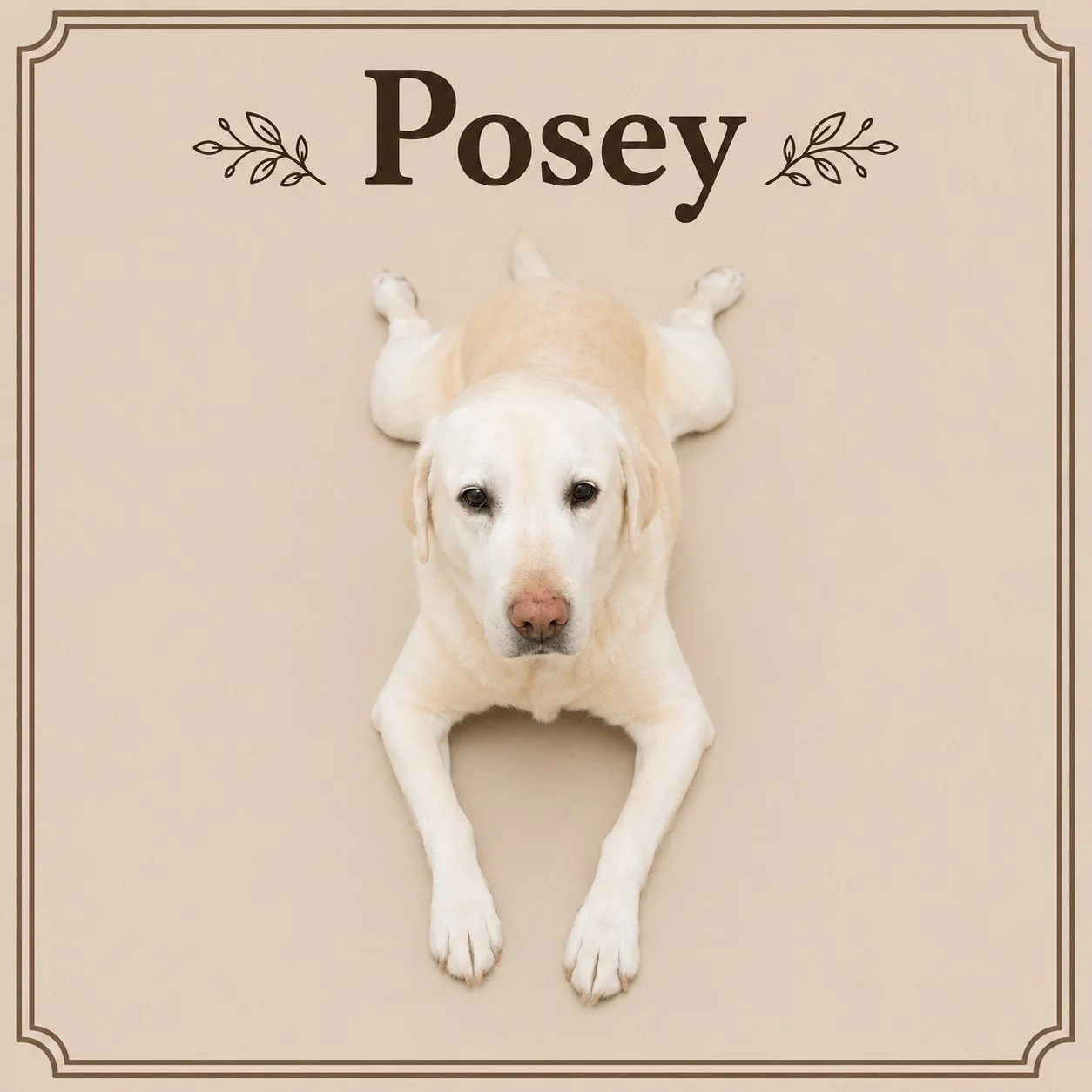 Posey.jpeg