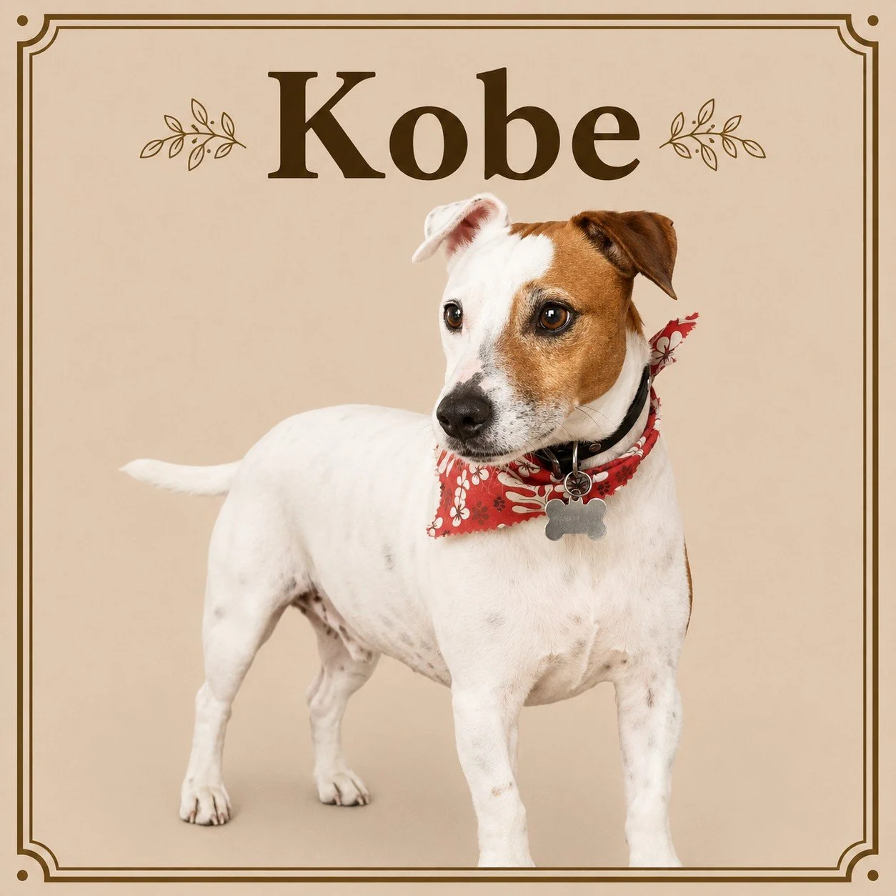 Kobe.jpeg