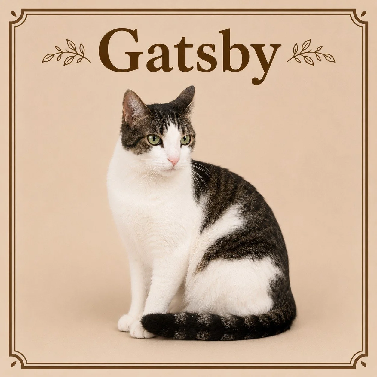 Gatsby.jpeg