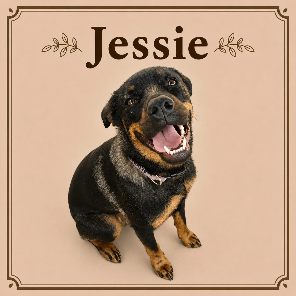 Jessie.jpeg